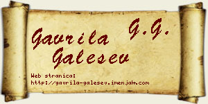 Gavrila Galešev vizit kartica